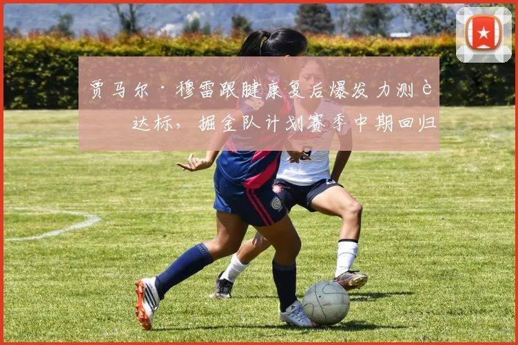 贾马尔·穆雷跟腱康复后爆发力测试达标,掘金队计划赛季中期回归