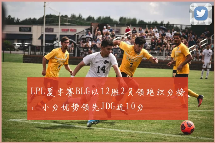 LPL夏季赛BLG以12胜2负领跑积分榜，小分优势领先JDG近10分